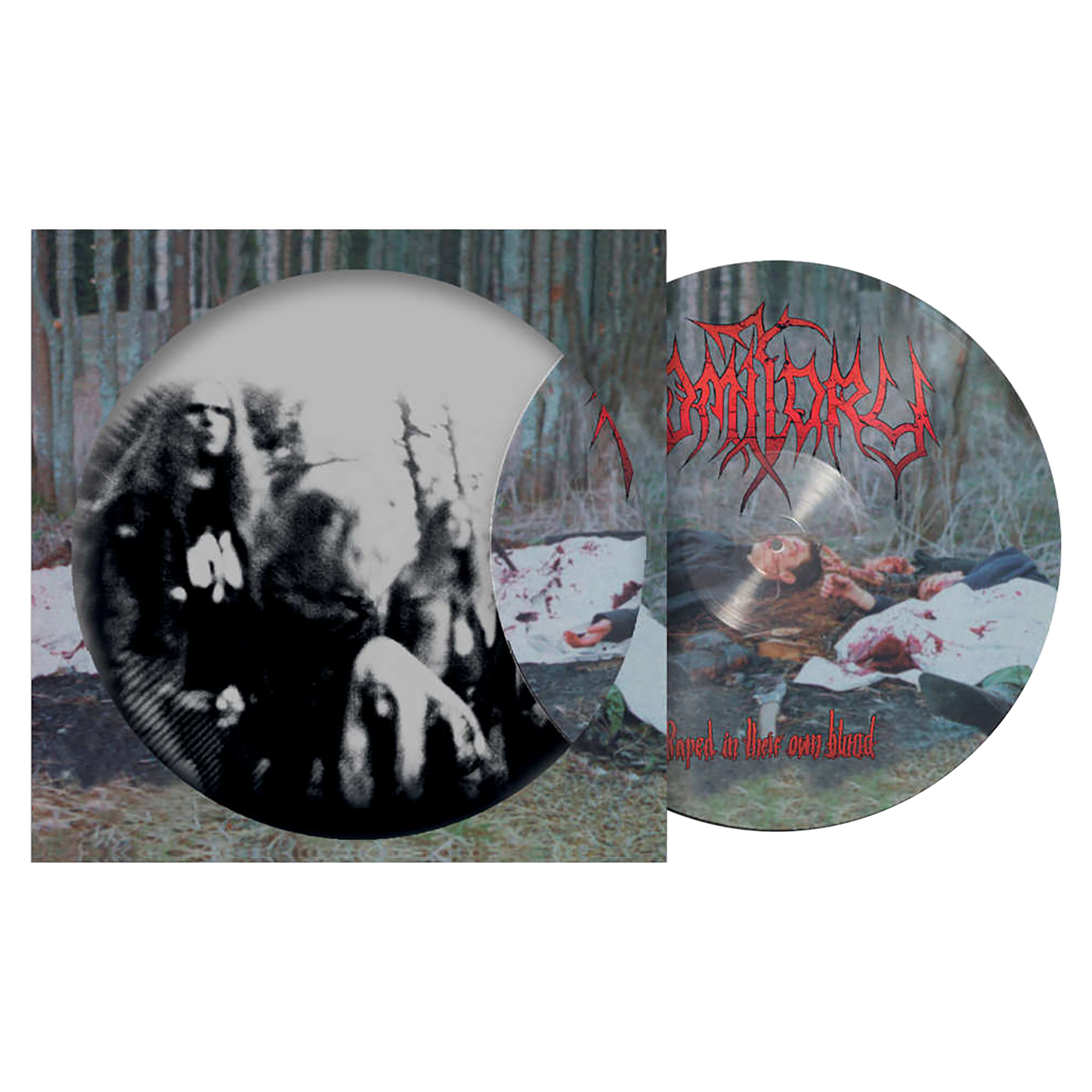 Vomitory (Raped In Their Own Blood) Picture Vinyl