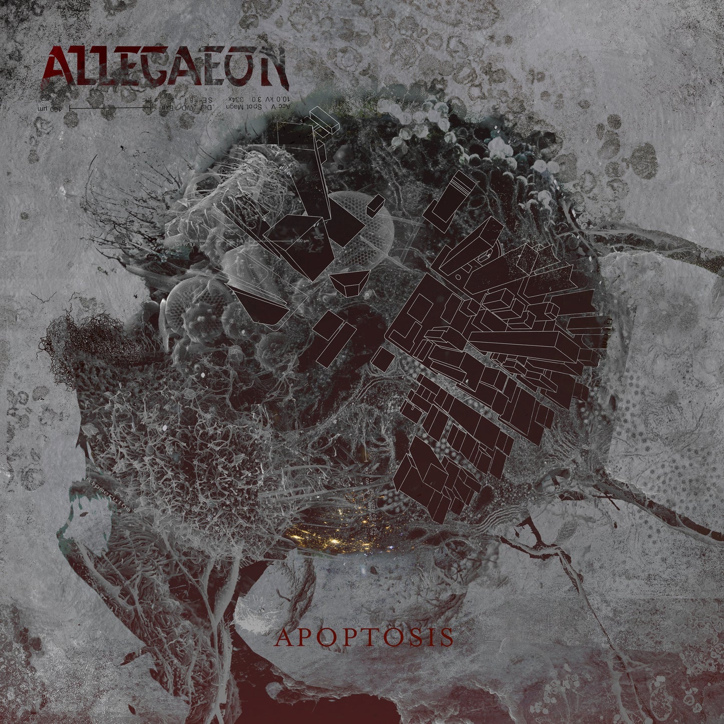 Allegaeon (Apoptosis) CD